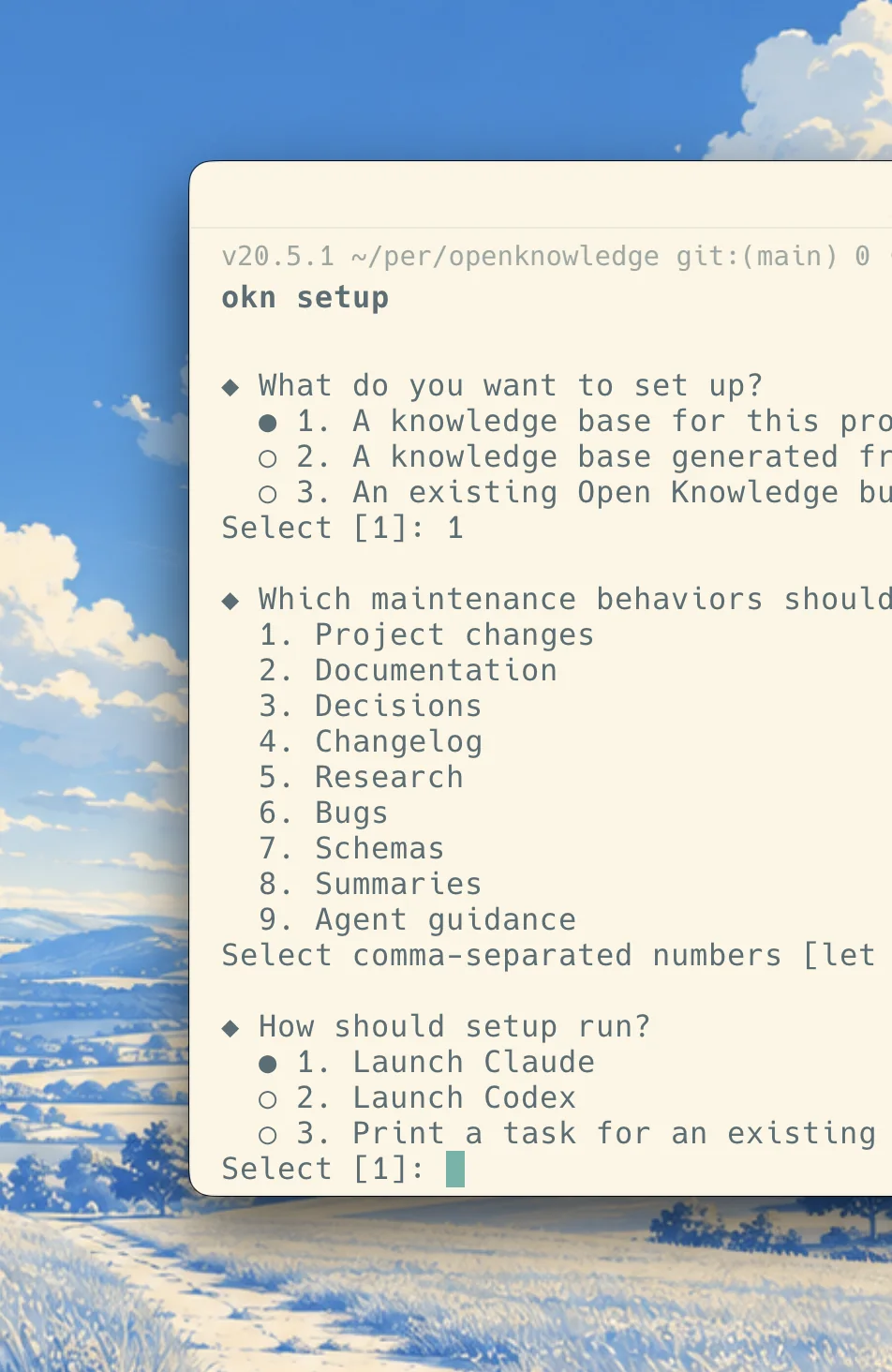 Terminal showing the interactive Open Knowledge setup wizard